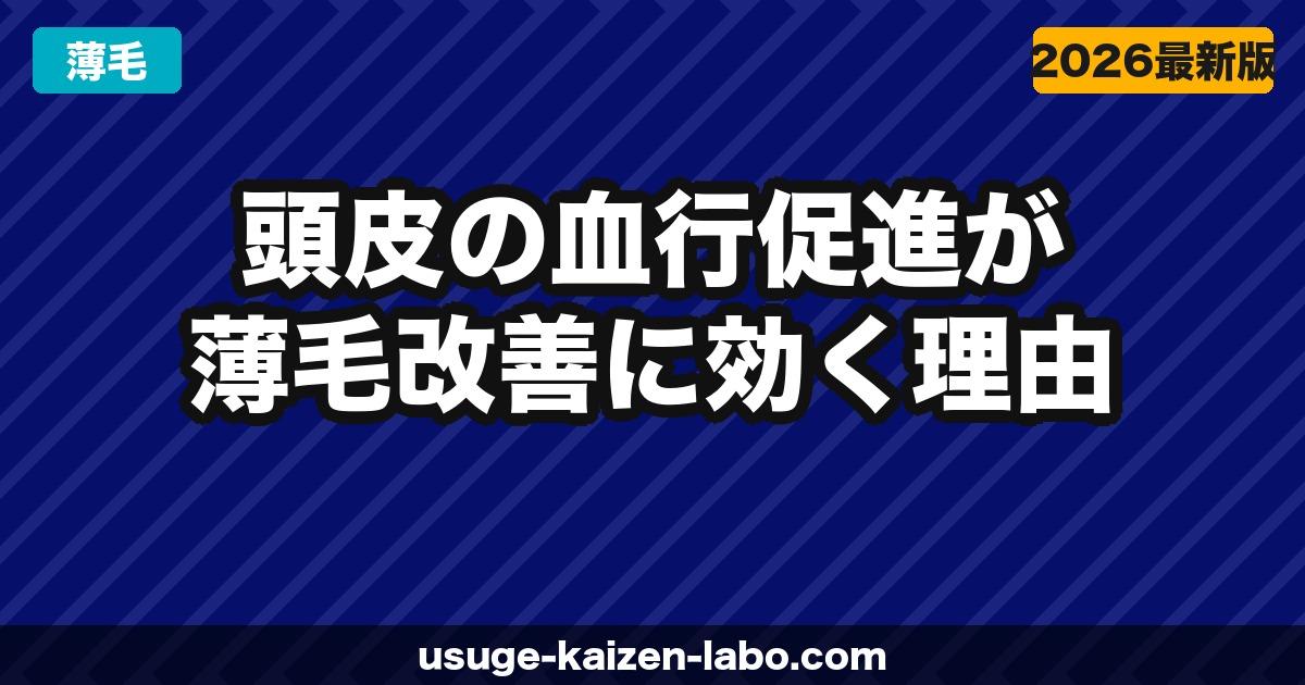 頭皮の血行促進が薄毛改善に効く理由｜血行不良チェックと改善法5選【2026年】
