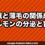 睡眠と薄毛の関係｜成長ホルモンの分泌と育毛の最強の関係を解説【2026年】