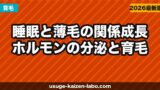 睡眠と薄毛の関係｜成長ホルモンの分泌と育毛の最強の関係を解説【2026年】