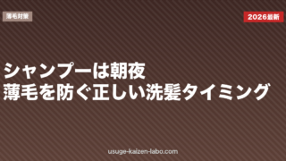 シャンプーは朝？夜？薄毛を防ぐ正しい洗髪タイミング