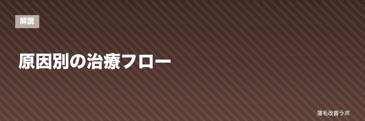 原因別の治療フロー | 薄毛改善ラボ