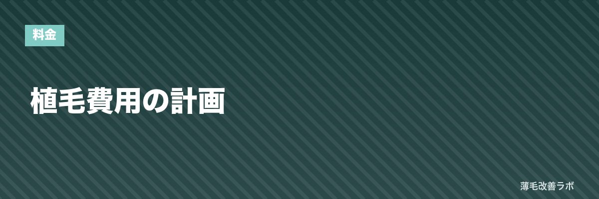 植毛費用の計画 | 薄毛改善ラボ