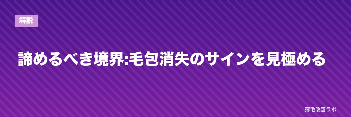 諦めるべき境界:毛包消失のサインを見極める | 薄毛改善ラボ