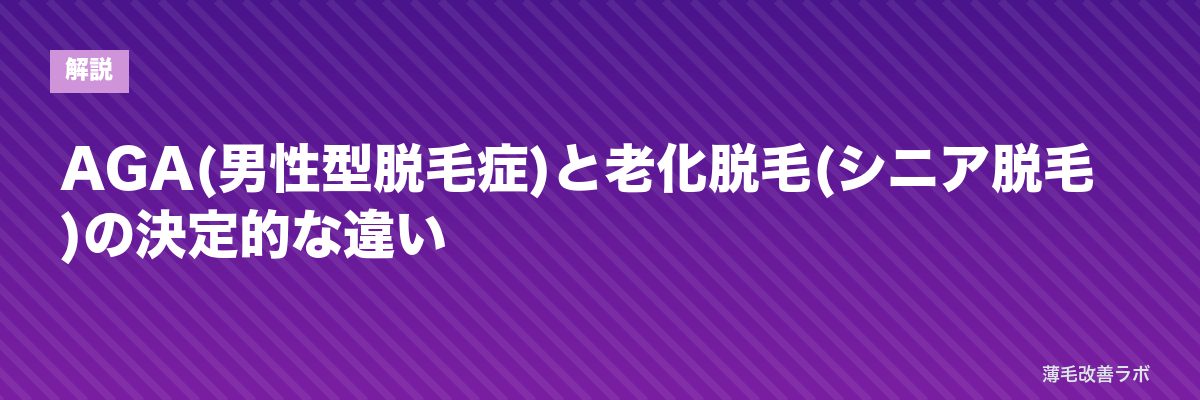 AGA(男性型脱毛症)と老化脱毛(シニア脱毛)の決定的な違い | 薄毛改善ラボ