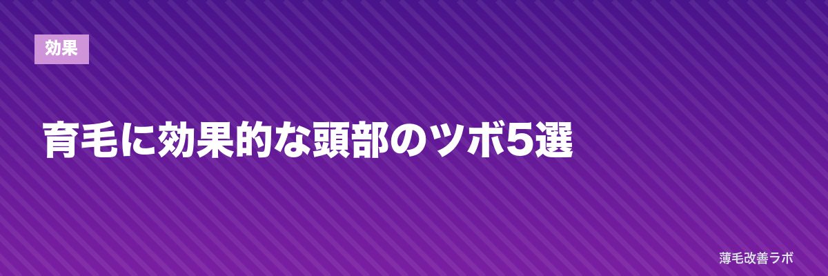育毛に効果的な頭部のツボ5選 | 薄毛改善ラボ