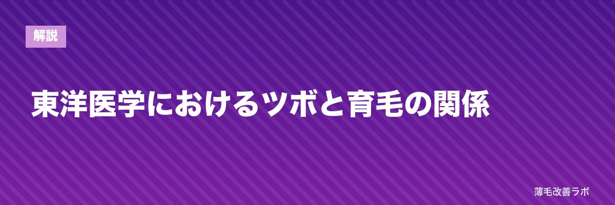 東洋医学におけるツボと育毛の関係 | 薄毛改善ラボ