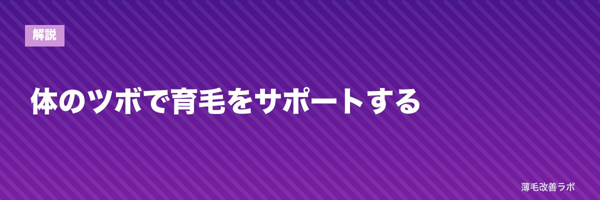 体のツボで育毛をサポートする | 薄毛改善ラボ