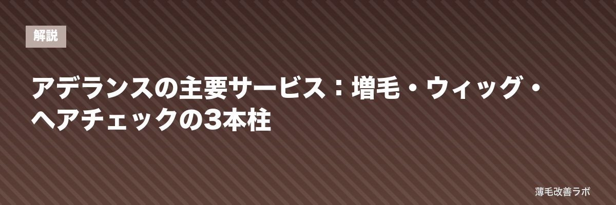アデランスの主要サービス：増毛・ウィッグ・ヘアチェックの3本柱 | 薄毛改善ラボ