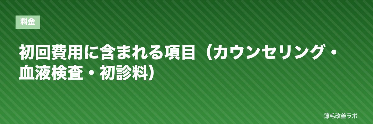 初回費用に含まれる項目（カウンセリング・血液検査・初診料） | 薄毛改善ラボ