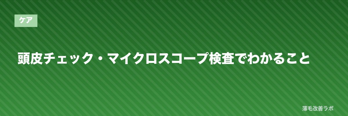頭皮チェック・マイクロスコープ検査でわかること | 薄毛改善ラボ