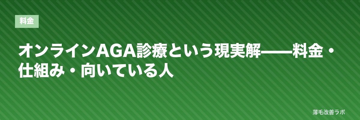 オンラインAGA診療という現実解——料金・仕組み・向いている人 | 薄毛改善ラボ