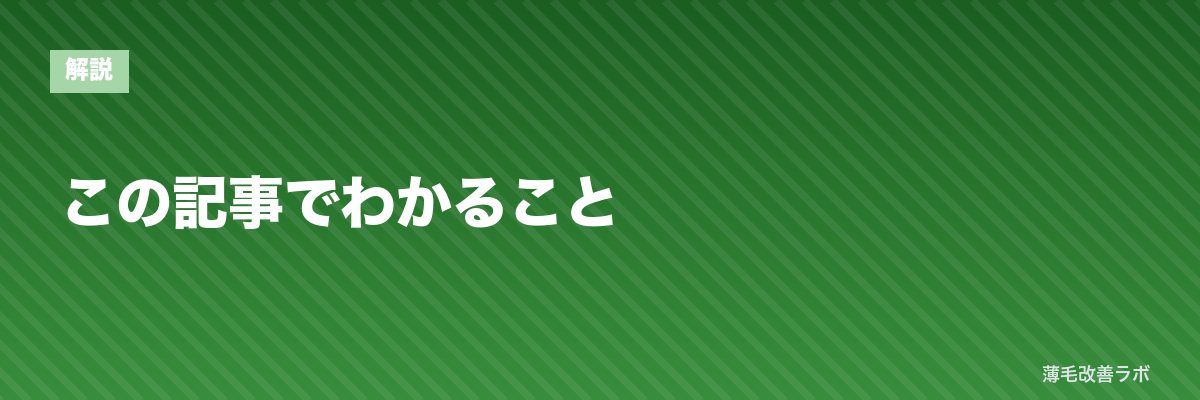 この記事でわかること | 薄毛改善ラボ