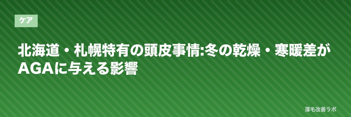 北海道・札幌特有の頭皮事情:冬の乾燥・寒暖差がAGAに与える影響 | 薄毛改善ラボ