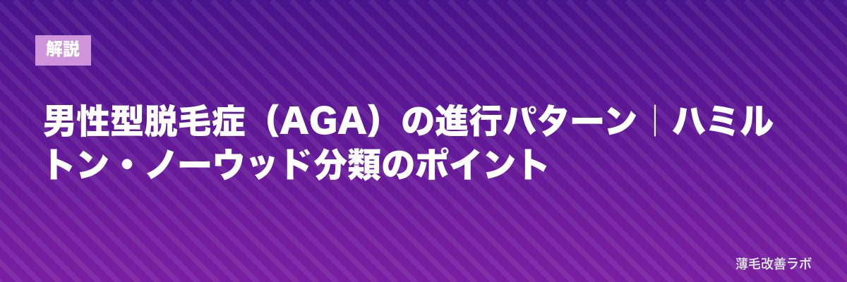 男性型脱毛症(AGA)の進行パターン|ハミルトン・ノーウッド分類のポイント | 薄毛改善ラボ