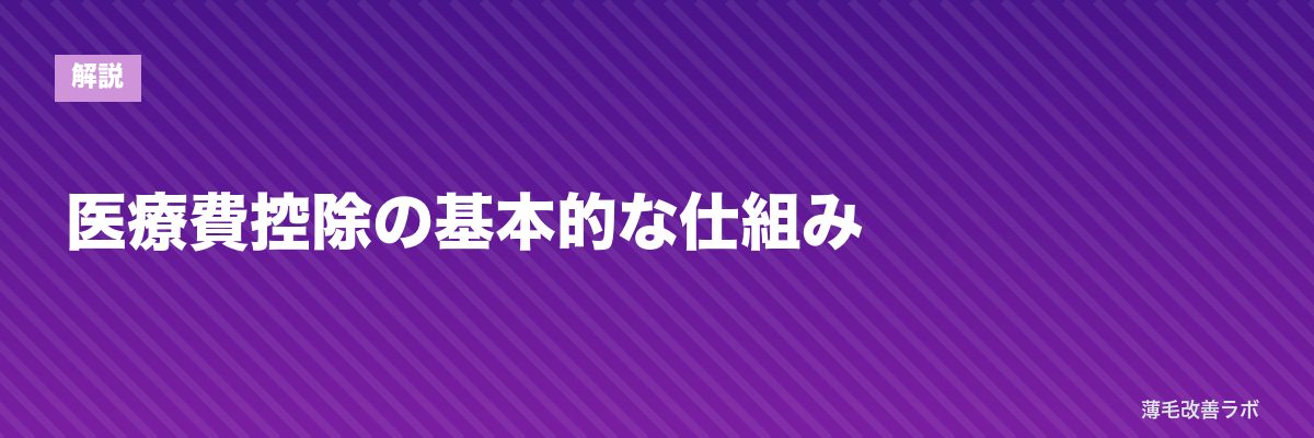 医療費控除の基本的な仕組み | 薄毛改善ラボ