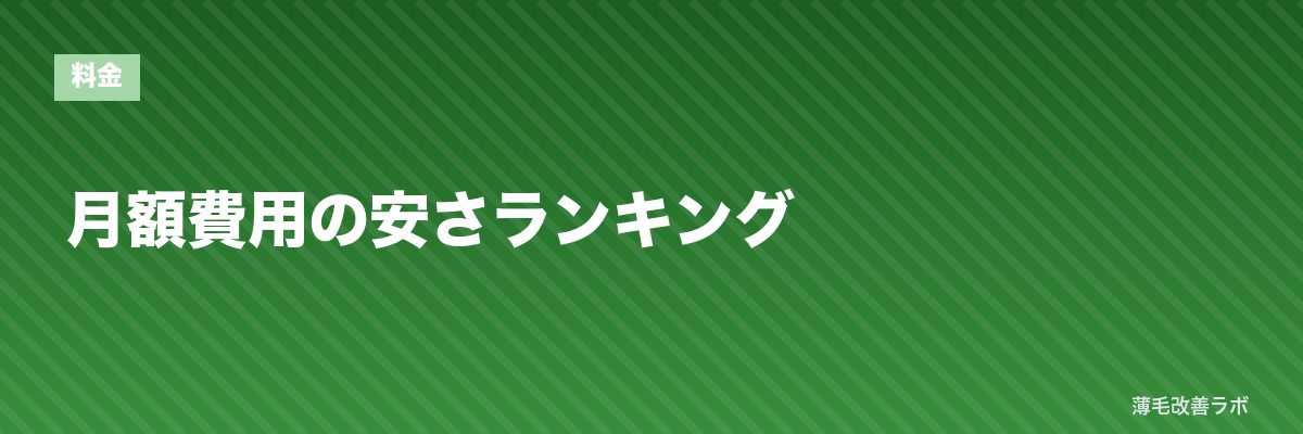 月額費用の安さランキング | 薄毛改善ラボ