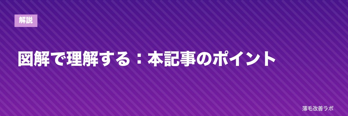 図解で理解する：本記事のポイント | 薄毛改善ラボ
