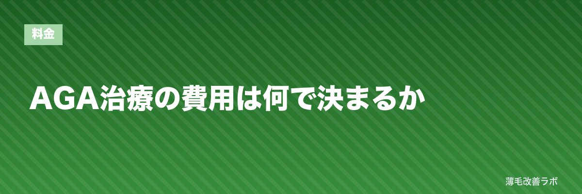 AGA治療の費用は何で決まるか | 薄毛改善ラボ