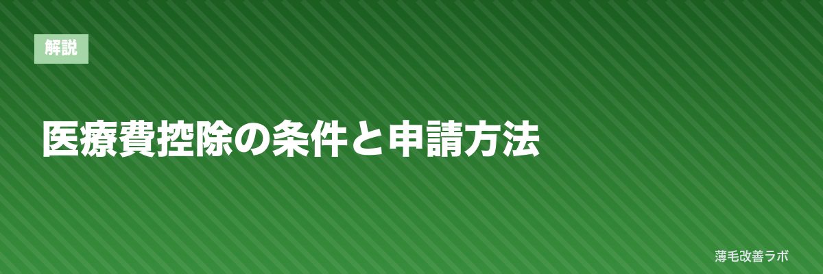 医療費控除の条件と申請方法 | 薄毛改善ラボ