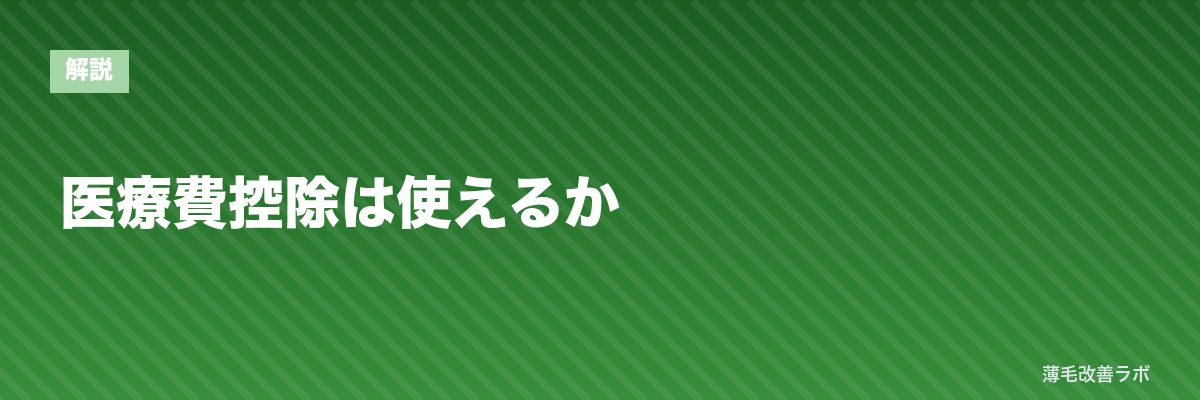 医療費控除は使えるか | 薄毛改善ラボ