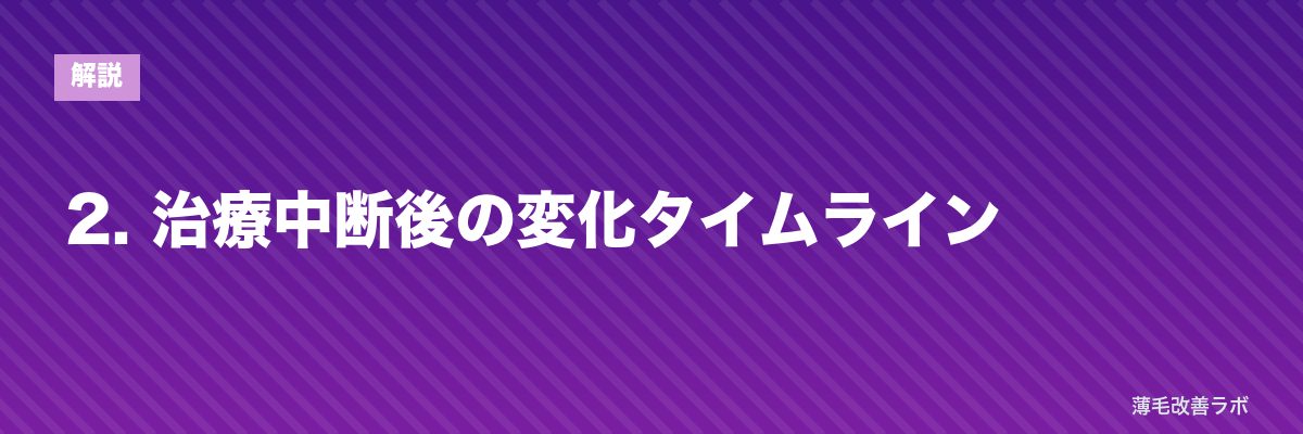 2. 治療中断後の変化タイムライン | 薄毛改善ラボ