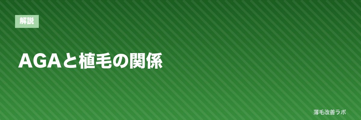 AGAと植毛の関係 | 薄毛改善ラボ
