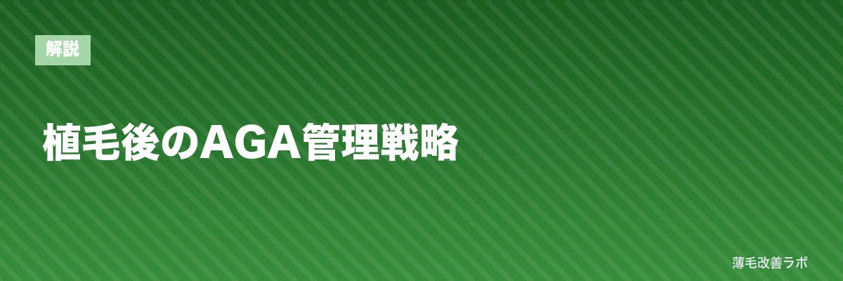 植毛後のAGA管理戦略 | 薄毛改善ラボ