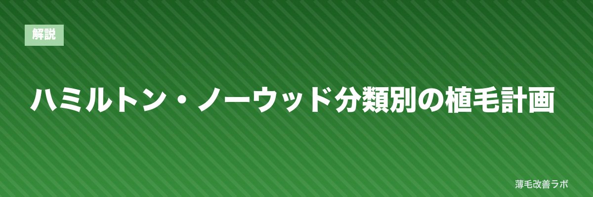 ハミルトン・ノーウッド分類別の植毛計画 | 薄毛改善ラボ