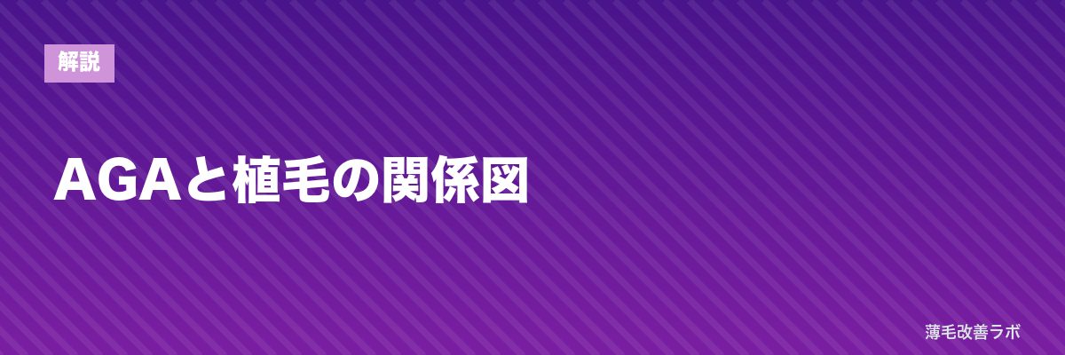 AGAと植毛の関係図 | 薄毛改善ラボ