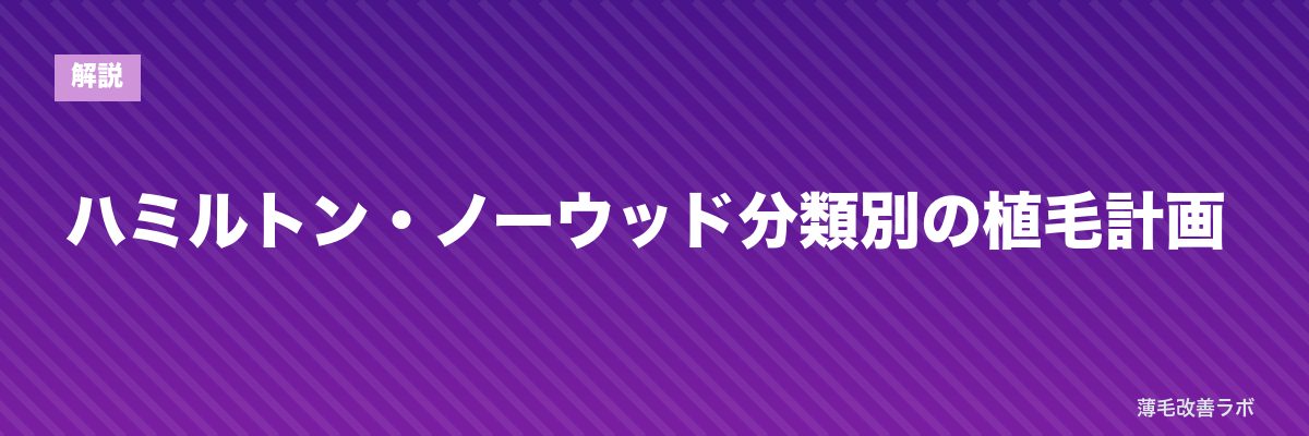 ハミルトン・ノーウッド分類別の植毛計画 | 薄毛改善ラボ