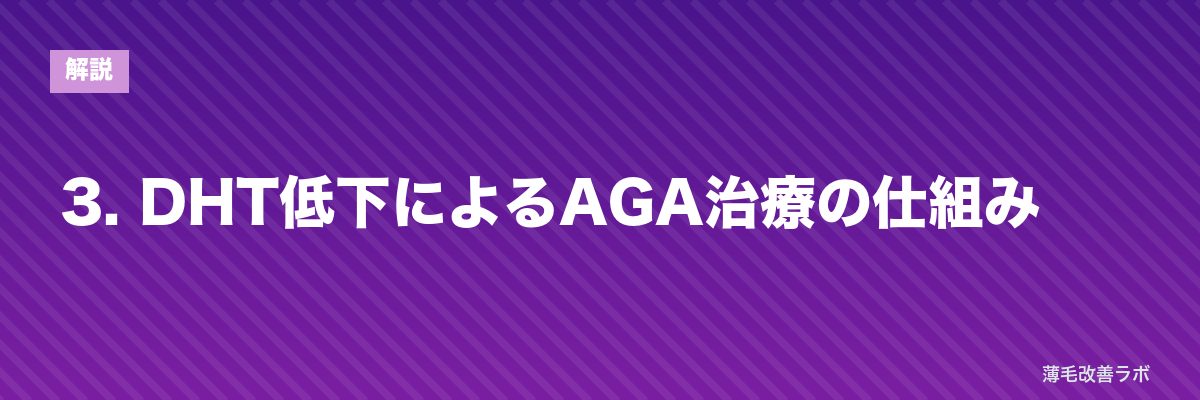 3. DHT低下によるAGA治療の仕組み | 薄毛改善ラボ