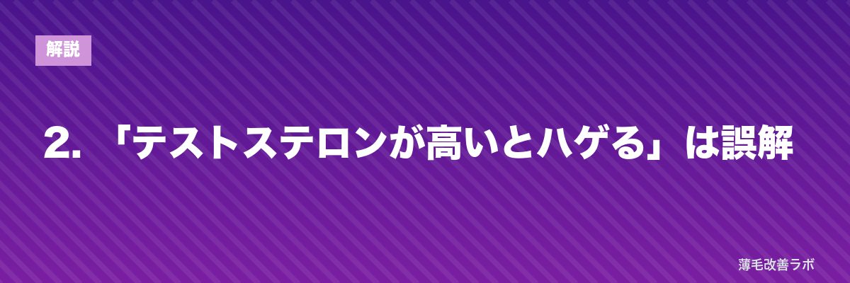 2. 「テストステロンが高いとハゲる」は誤解 | 薄毛改善ラボ