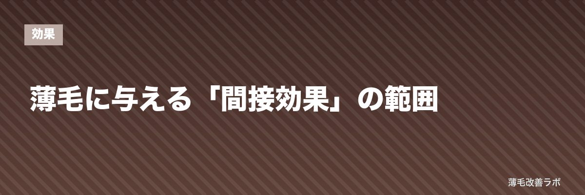 薄毛に与える「間接効果」の範囲 | 薄毛改善ラボ