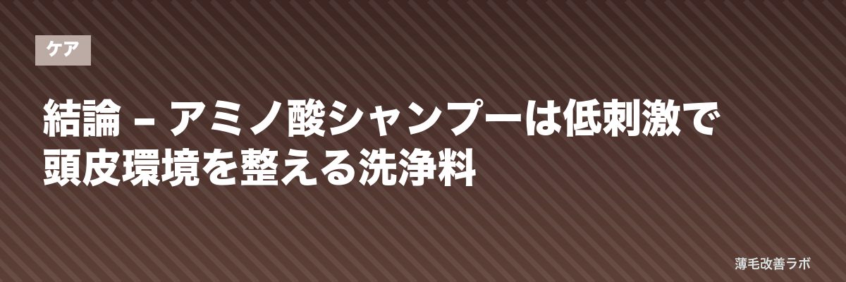 結論 – アミノ酸シャンプーは低刺激で頭皮環境を整える洗浄料 | 薄毛改善ラボ