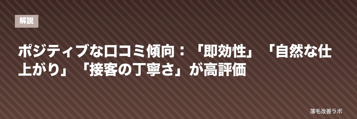 ポジティブな口コミ傾向：「即効性」「自然な仕上がり」「接客の丁寧さ」が高評価 | 薄毛改善ラボ