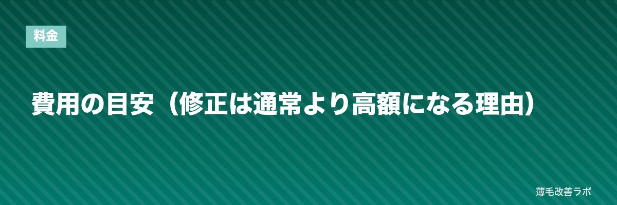 費用の目安（修正は通常より高額になる理由） | 薄毛改善ラボ