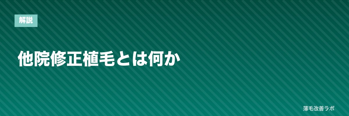 他院修正植毛とは何か | 薄毛改善ラボ