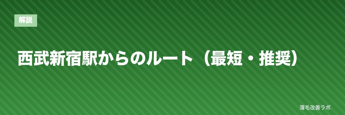 西武新宿駅からのルート（最短・推奨） | 薄毛改善ラボ