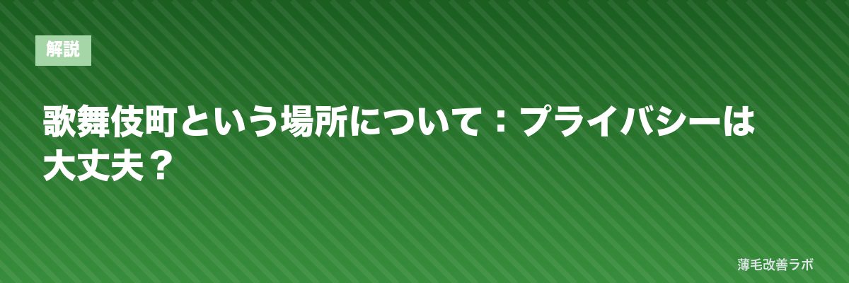 歌舞伎町という場所について：プライバシーは大丈夫？ | 薄毛改善ラボ