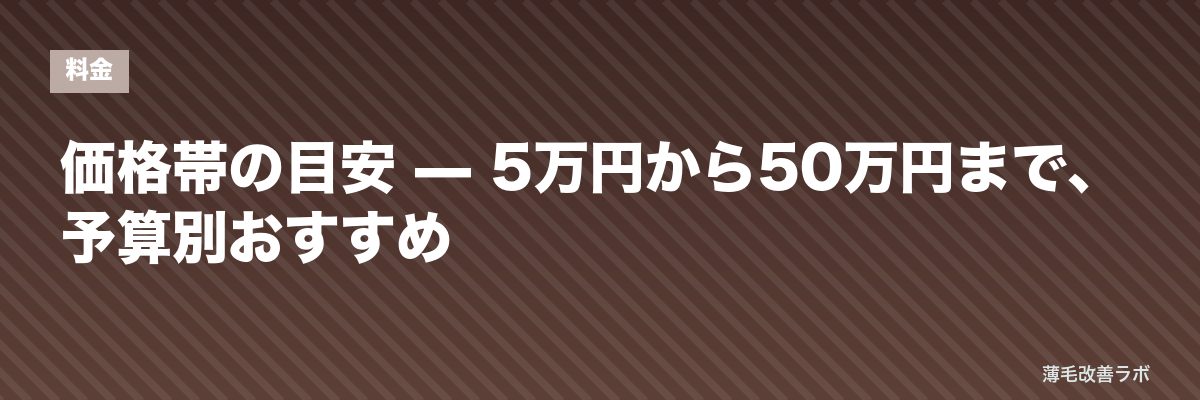 価格帯の目安 — 5万円から50万円まで、予算別おすすめ | 薄毛改善ラボ
