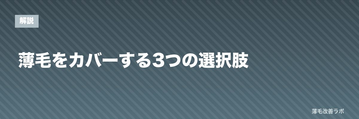薄毛をカバーする3つの選択肢 | 薄毛改善ラボ