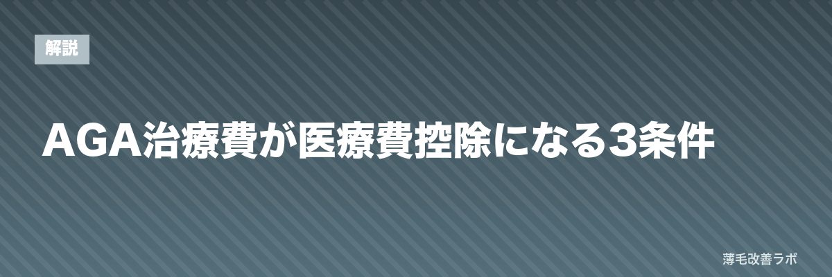 AGA治療費が医療費控除になる3条件 | 薄毛改善ラボ