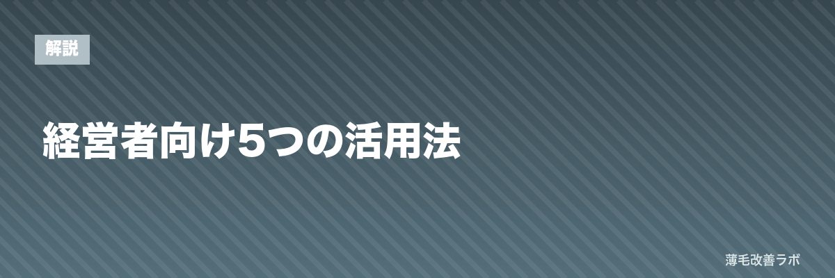 経営者向け5つの活用法 | 薄毛改善ラボ
