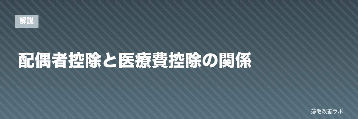 配偶者控除と医療費控除の関係 | 薄毛改善ラボ