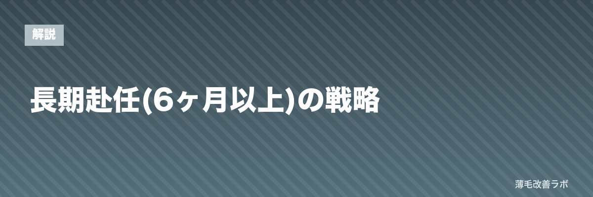 長期赴任(6ヶ月以上)の戦略 | 薄毛改善ラボ