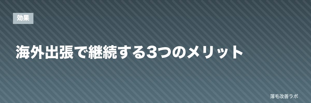 海外出張で継続する3つのメリット | 薄毛改善ラボ