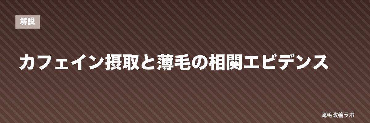カフェイン摂取と薄毛の相関エビデンス | 薄毛改善ラボ