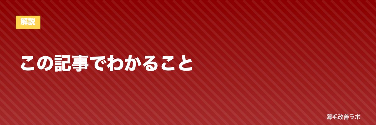 この記事でわかること | 薄毛改善ラボ