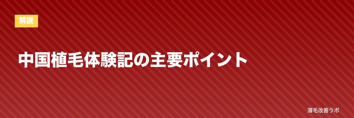 中国植毛体験記の主要ポイント | 薄毛改善ラボ
