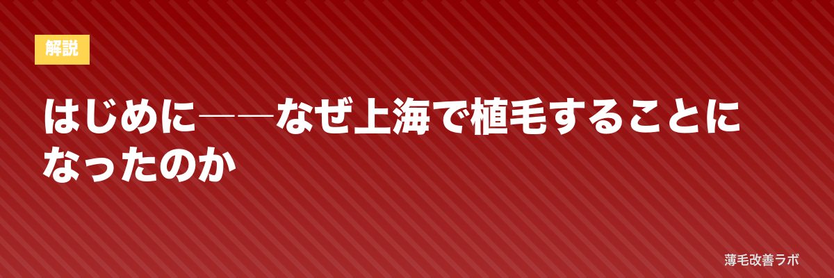 はじめに――なぜ上海で植毛することになったのか | 薄毛改善ラボ